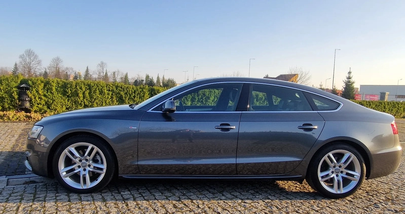 Audi A5 cena 69900 przebieg: 221647, rok produkcji 2016 z Bydgoszcz małe 781